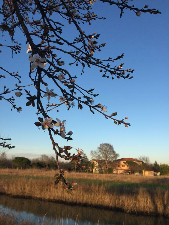 Carlino Agriturismo Valle Ca' Del Lovo المظهر الخارجي الصورة