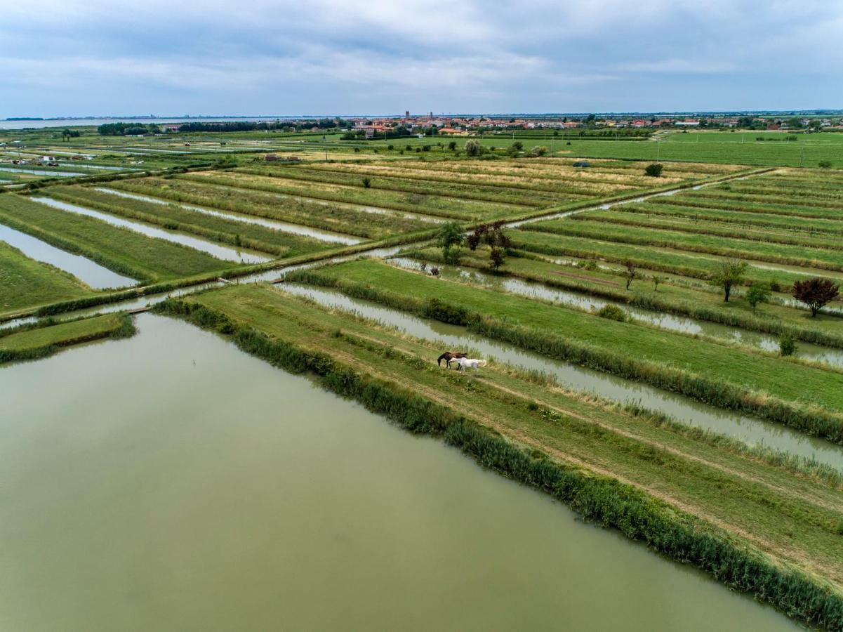 Carlino Agriturismo Valle Ca' Del Lovo المظهر الخارجي الصورة